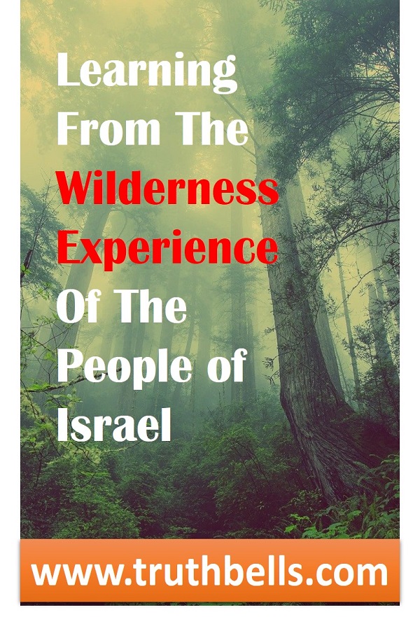 wilderness-experience-bible